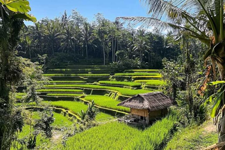 Do These Bali Travel Tips Really Work? We Put Them to the Test